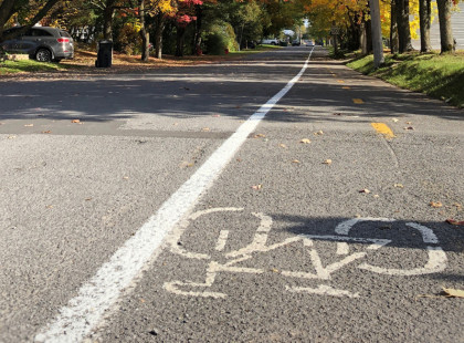 Piste cyclable de la rue Louis-Joseph-Doucet